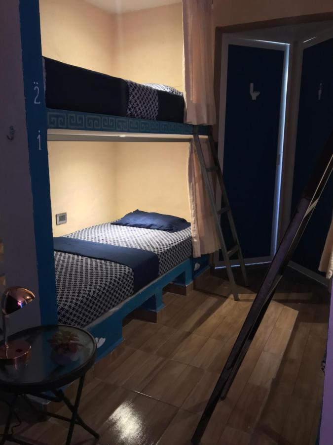 הוסטל קנקון Venado 28 מראה חיצוני תמונה