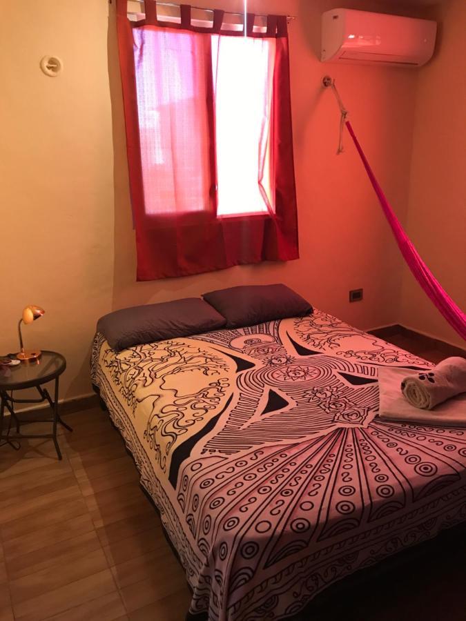 הוסטל קנקון Venado 28 מראה חיצוני תמונה